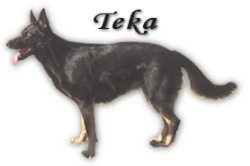 Teka